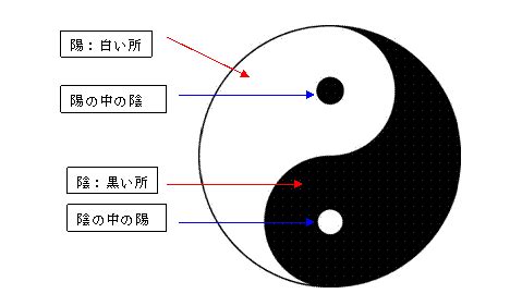 陰魚|陰陽魚とは？ わかりやすく解説